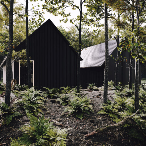 black cabin in the woods